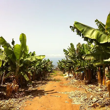 H.R.C Tio Medina Guía de Isora